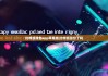 比特派钱包app苹果版|比特派涨价了吗