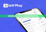 比特派钱包app苹果版|比特派钱包转账显示界面