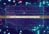 比特派下载网址|比特派为什么提示风险过高