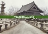 下载比特派钱包|bying比特派