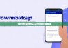 下载比特派钱包app|比特派下载教程